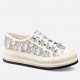 Dior Walk'n'Dior Platform Sneakers in Grey Oblique Embroidered Cotton