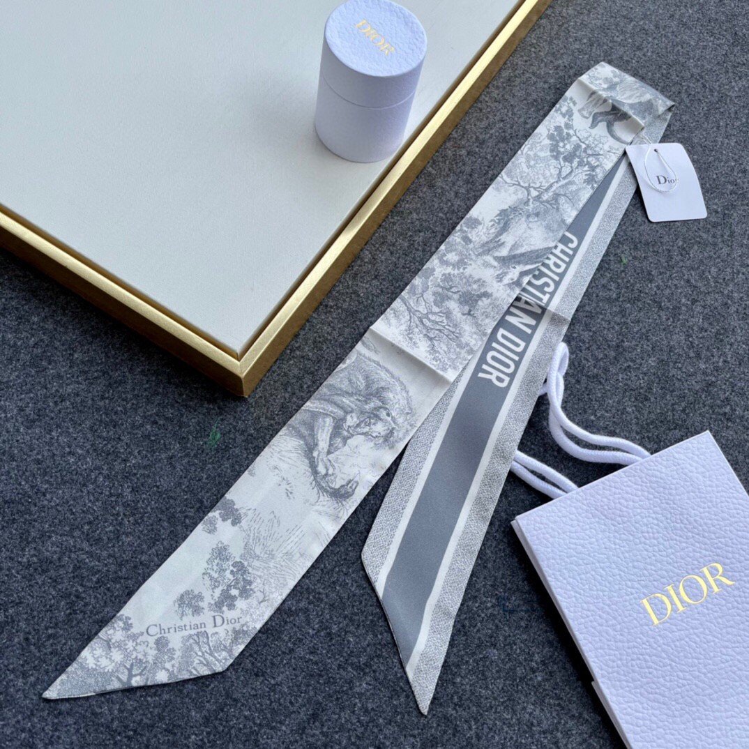 Dior Toile de Jouy Sauvage Mitzah Scarf in Grey Silk Twill