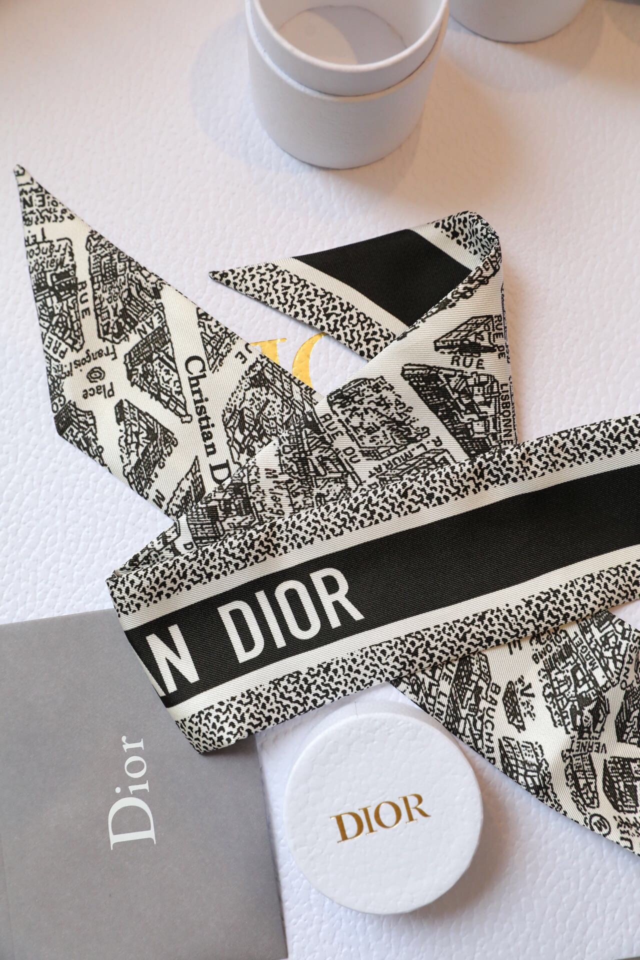 Dior Plan de Paris Mitzah Scarf in White and Black Silk Twill