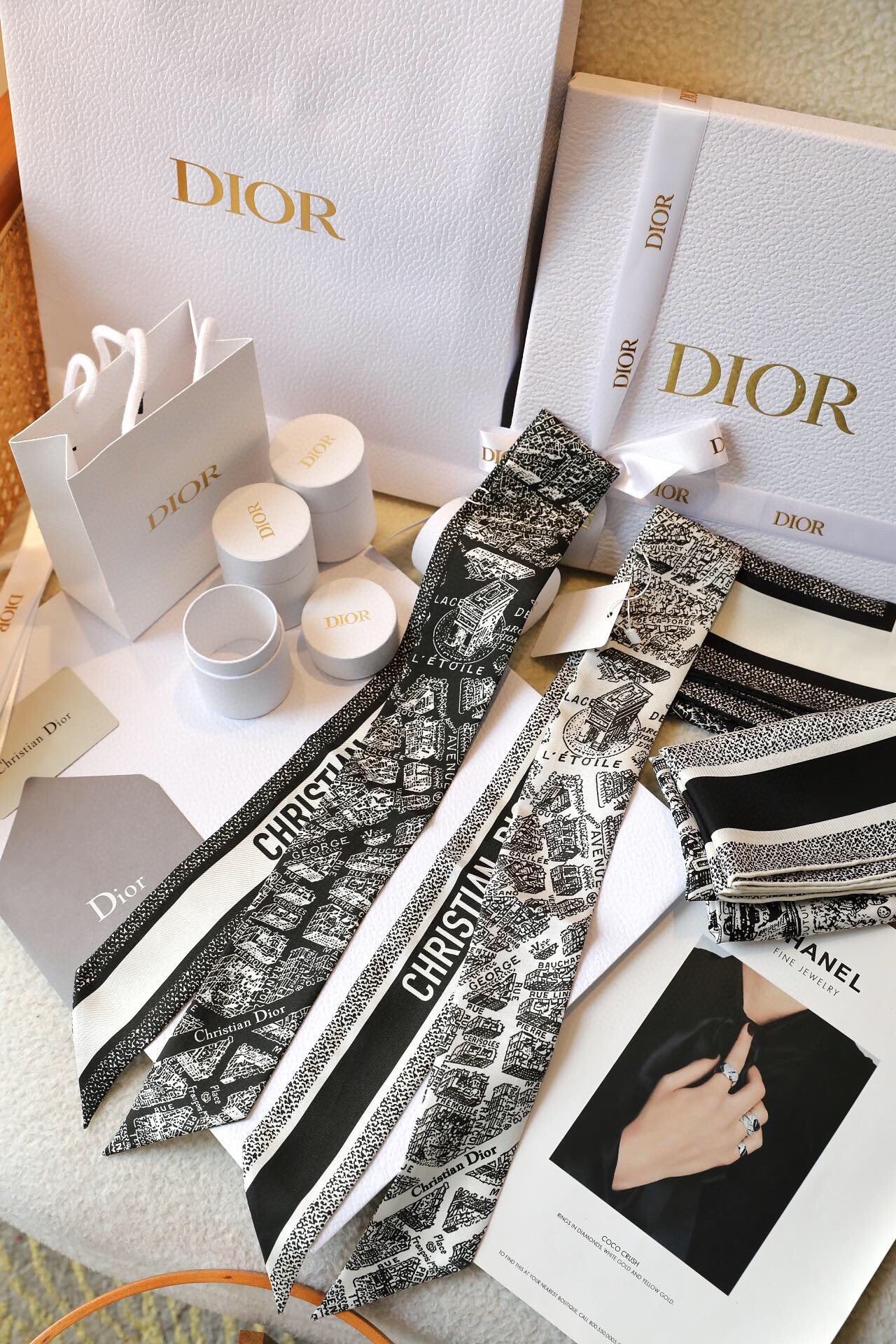 Dior Plan de Paris Mitzah Scarf in White and Black Silk Twill