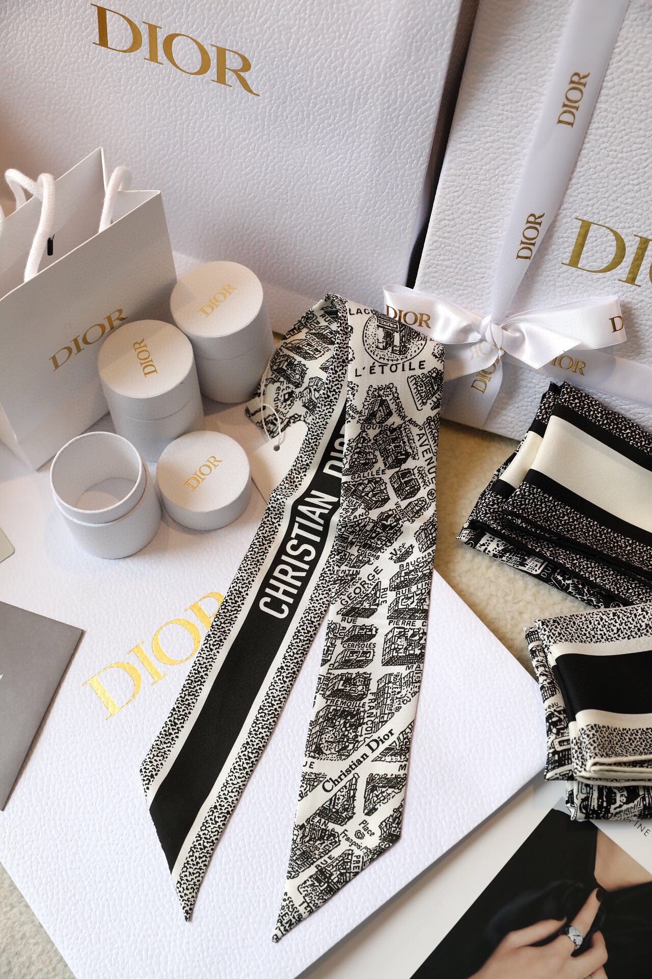 Dior Plan de Paris Mitzah Scarf in White and Black Silk Twill