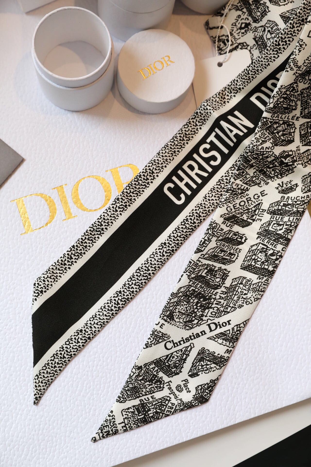 Dior Plan de Paris Mitzah Scarf in White and Black Silk Twill