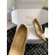 Dior Tribales Pumps 80mm in Nude Patent Calfskin