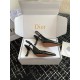 Dior Tribales Pumps Slingback 80mm in Black Patent Calfskin