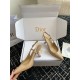 Dior Tribales Pumps Slingback 80mm in Nude Patent Calfskin