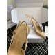 Dior Tribales Pumps Slingback 80mm in Nude Patent Calfskin