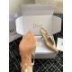 Dior Tribales Pumps Slingback 80mm in Nude Patent Calfskin