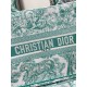 Dior Medium Dioriviera Book Tote in Aquamarina Toile de Jouy Embroidery