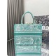 Dior Medium Dioriviera Book Tote in Aquamarina Toile de Jouy Embroidery