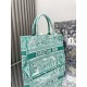 Dior Medium Dioriviera Book Tote in Aquamarina Toile de Jouy Embroidery