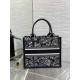 Dior Small Book Tote Bag with Strap in Plan de Paris Embroidery and Black Calfskin