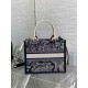 Dior Small Book Tote Bag with Strap in Toile de Jouy Reverse Embroidery and Blue Calfskin