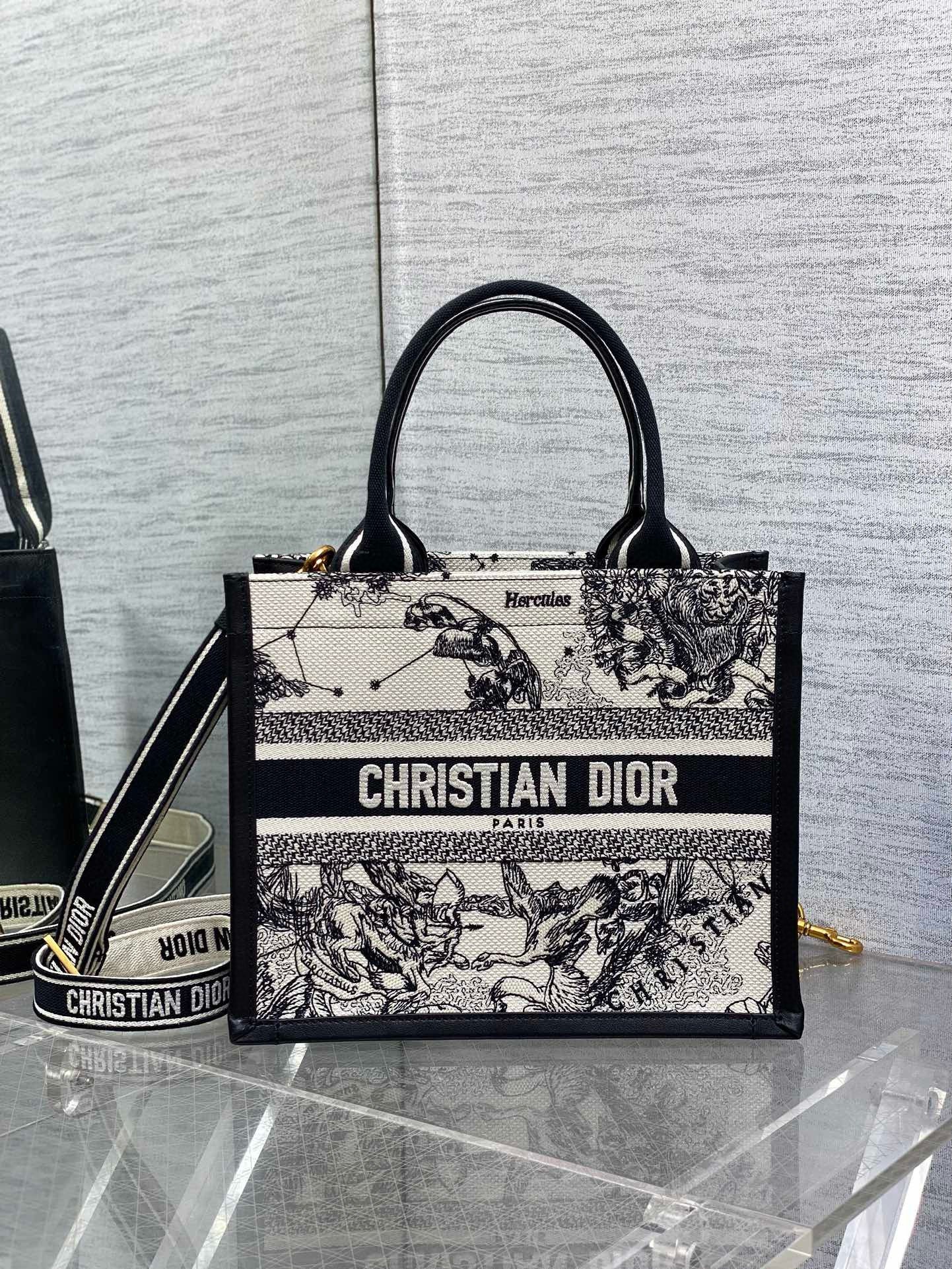 Dior Small Book Tote Bag with Strap in Zodiac Embroidery and Black Calfskin