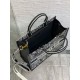 Dior Medium Book Tote Bag with Strap in Plan de Paris Embroidery and Black Calfskin