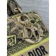 Dior Dioriviera Lady D-Lite Medium Bag in Raffia with Lime Toile de Jouy Sauvage Embroidery