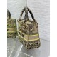 Dior Dioriviera Lady D-Lite Medium Bag in Raffia with Lime Toile de Jouy Sauvage Embroidery