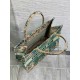 Dior Medium Dioriviera Book Tote in Raffia with Green Toile de Jouy Sauvage Embroidery