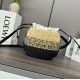 Loewe x Paula’s Ibiza Raffia Beehive Degrade Basket Bag