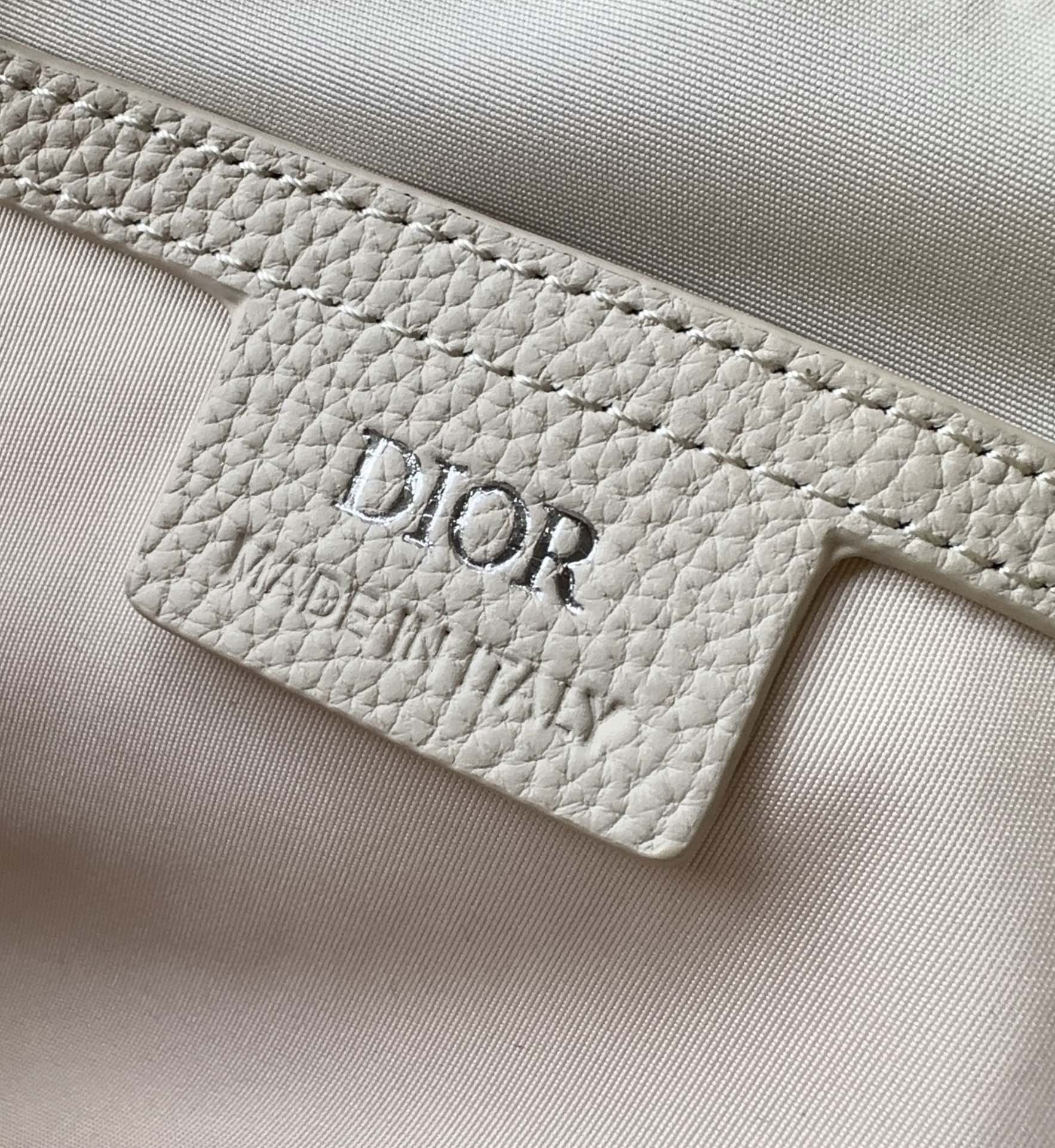 Dior Rider 2.0 Zipped Messenger Bag in Beige Gravity Leather