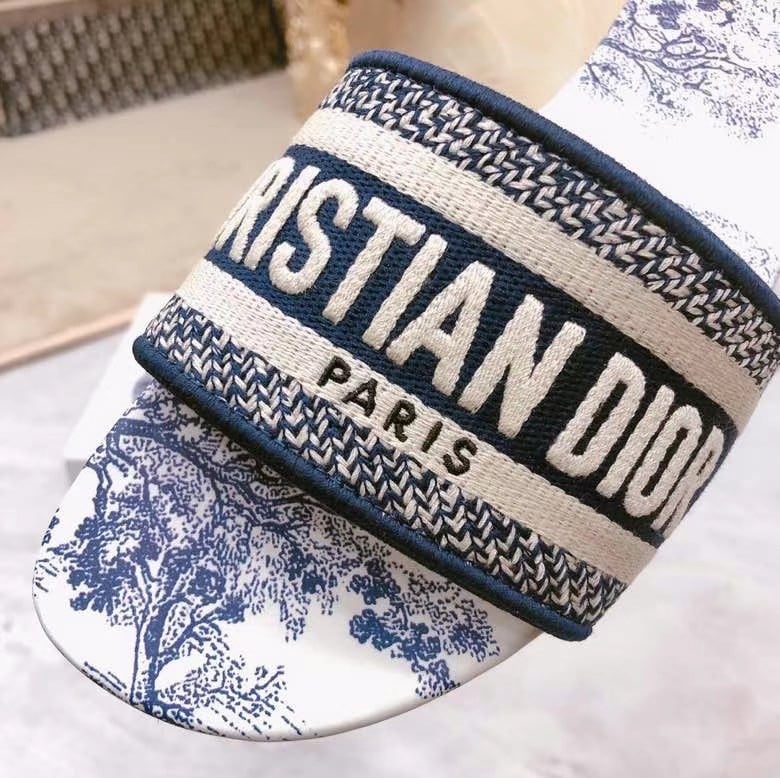 Dior Dway Slides In Blue Toile de Jouy Embroidered Cotton