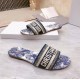 Dior Dway Slides In Blue Toile de Jouy Embroidered Cotton