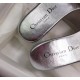 Dior Dway Slides In Grey Metallic Thread Embroidery and Strass