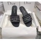 Dior Dway Slides In Black Metallic Thread Embroidery and Strass