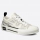 Dior Men's B23 Low-top Sneakers In Canvas with Arsham Motif