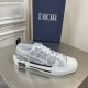 Dior Men's B23 Low-top Sneakers In Canvas with Arsham Motif