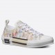 Dior Men's B23 Low-top Sneakers In Multicolor Oblique Canvas