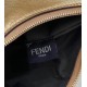 Fendi Fendigraphy Small Hobo Bag In Gold Metallic Leather