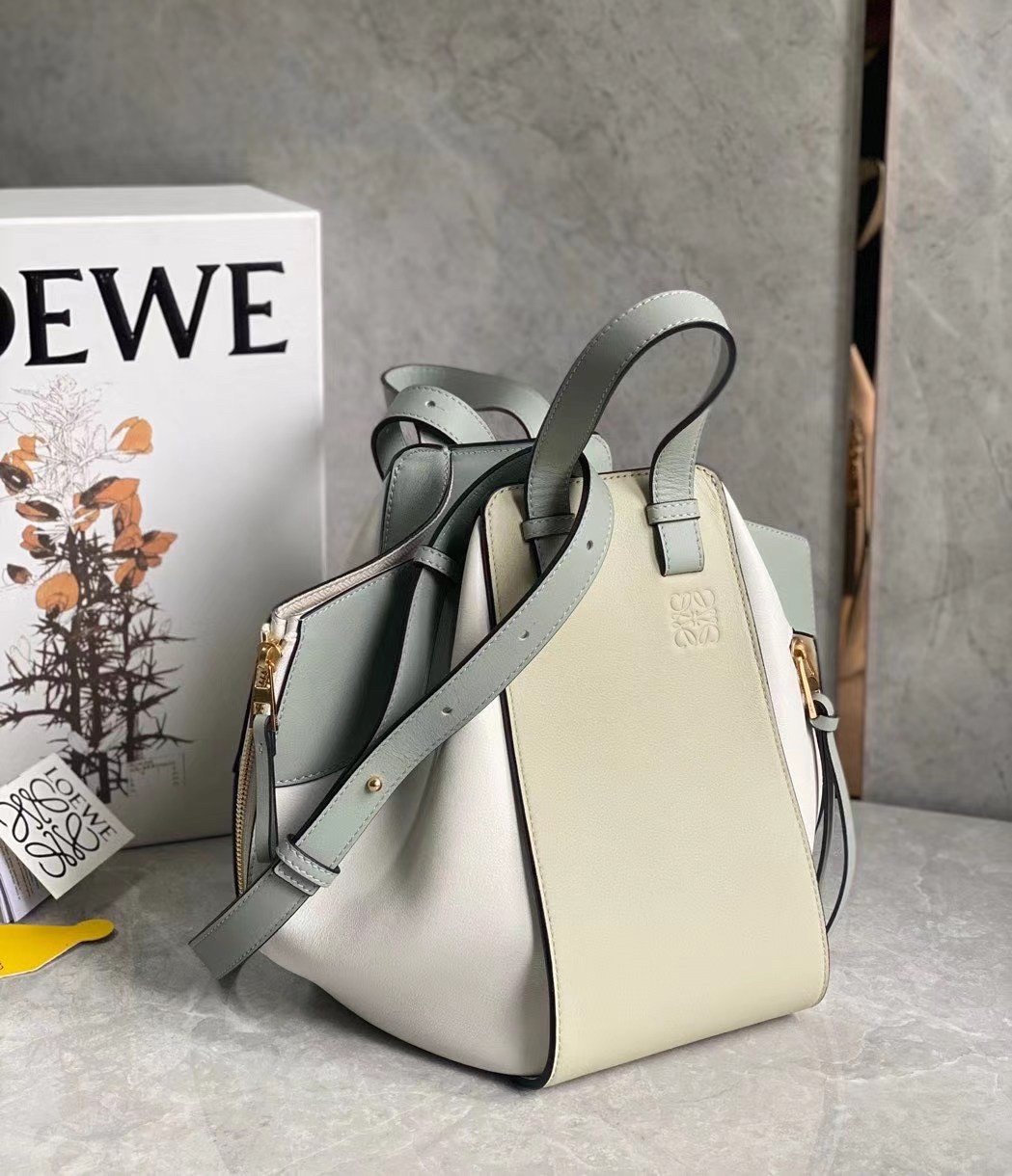 Loewe Small Hammock Bag In Multicolour Calfskin