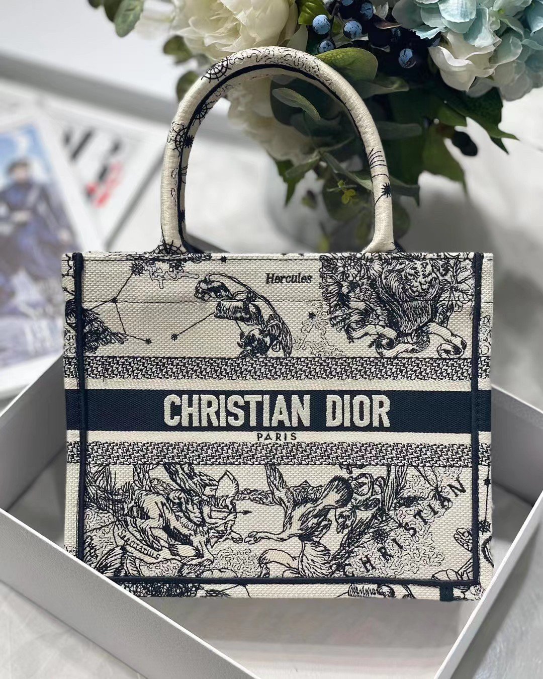 Dior Small Book Tote Bag In White Toile de Jouy Zodiac Embroidery