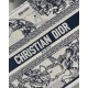 Dior Small Book Tote Bag In White Toile de Jouy Zodiac Embroidery