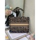 Dior Medium Book Tote Bag In Beige Multicolor Mizza Embroidery