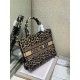 Dior Medium Book Tote Bag In Beige Multicolor Mizza Embroidery