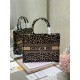 Dior Medium Book Tote Bag In Beige Multicolor Mizza Embroidery