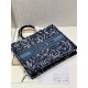 Dior Large Book Tote Bag In Blue Dior Roses Embroidery