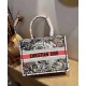 Dior Medium Book Tote Bag In Multicolor Dior Constellation Embroidery