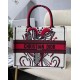 Dior Medium Book Tote Bag In Latte Multicolor Cupidon Embroidery