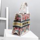 Dior Medium Book Tote Bag In Heart Lights Dior Embroidery