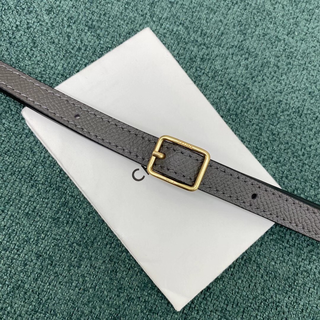 Celine Belt Nano Bag In Grey Grained Calfskin