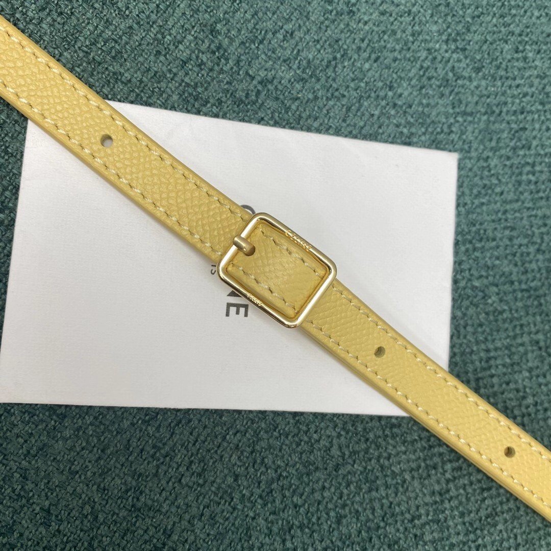 Celine Belt Nano Bag In Yellow Grained Calfskin