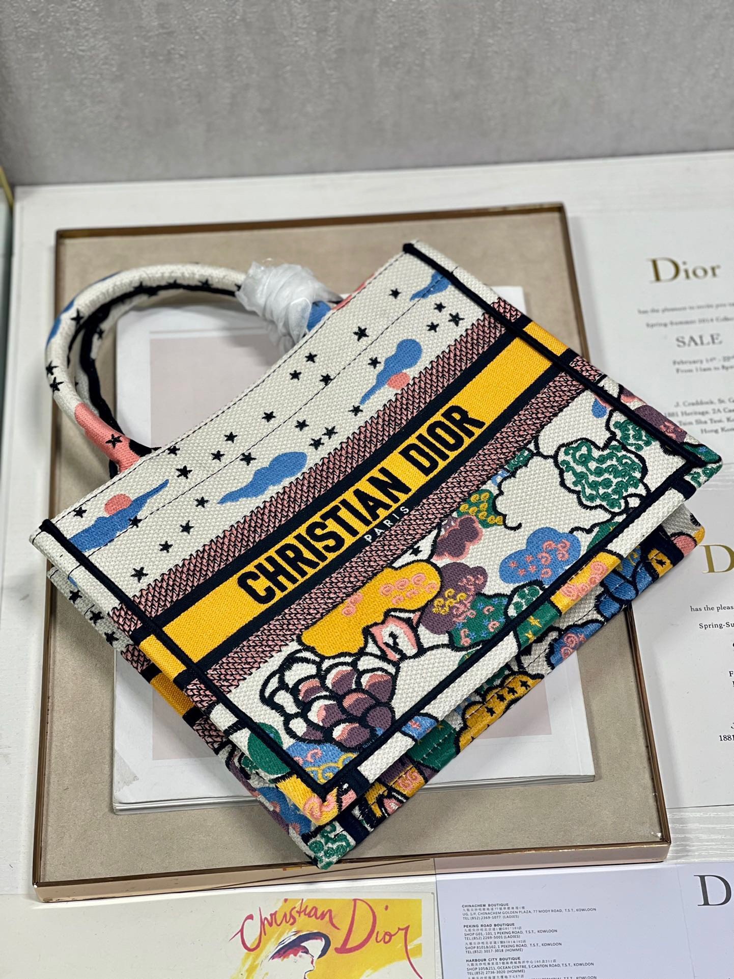 Dior Small Book Tote Bag In Ciel de Reve Embroidery