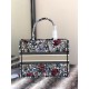 Dior Medium Book Tote Bag In Multicolor Mille Fleurs Embroidery