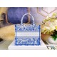 Dior Small Book Tote Bag In Blue Transparent Toile de Jouy Canvas