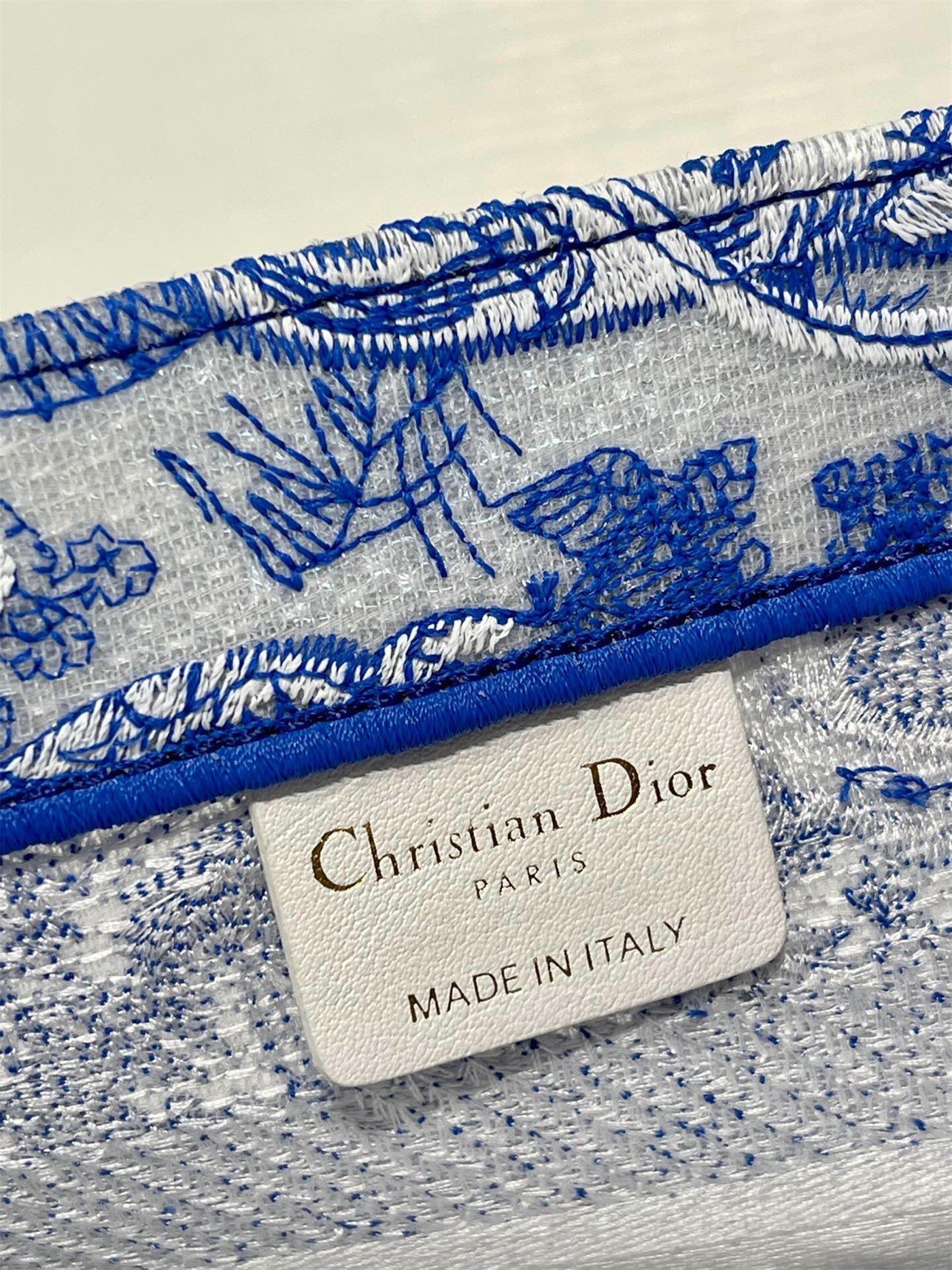 Dior Small Book Tote Bag In Blue Transparent Toile de Jouy Canvas