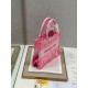 Dior Small Book Tote Bag In Pink Transparent Toile de Jouy Canvas