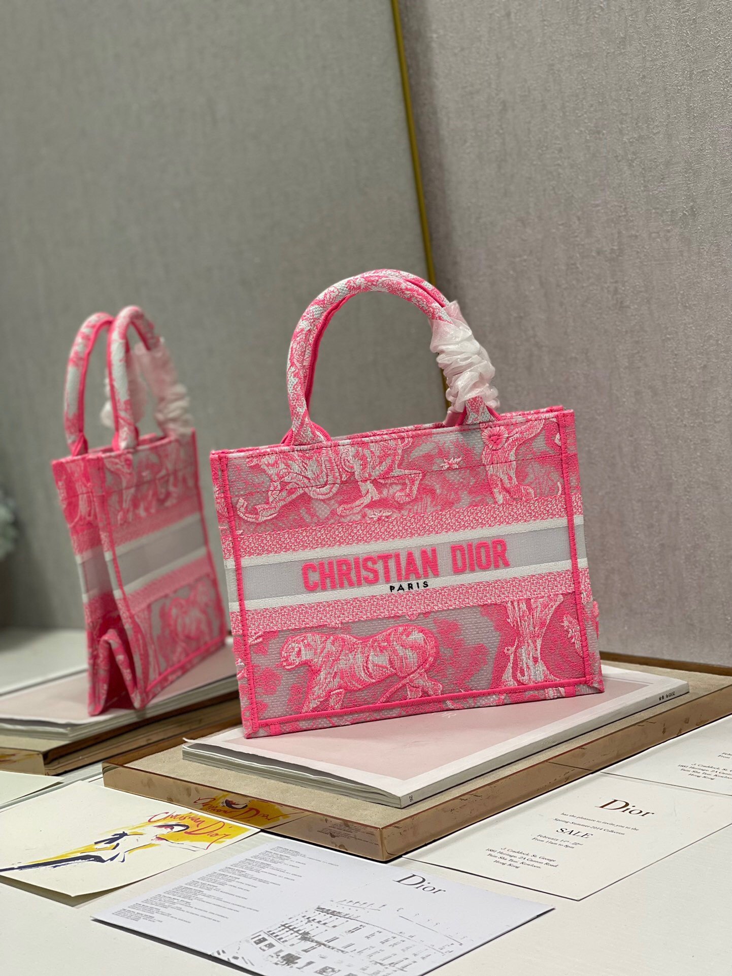 Dior Small Book Tote Bag In Pink Transparent Toile de Jouy Canvas