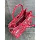 Dior Medium Book Tote Bag In Fluorescent Pink Toile de Jouy Reverse Embroidery